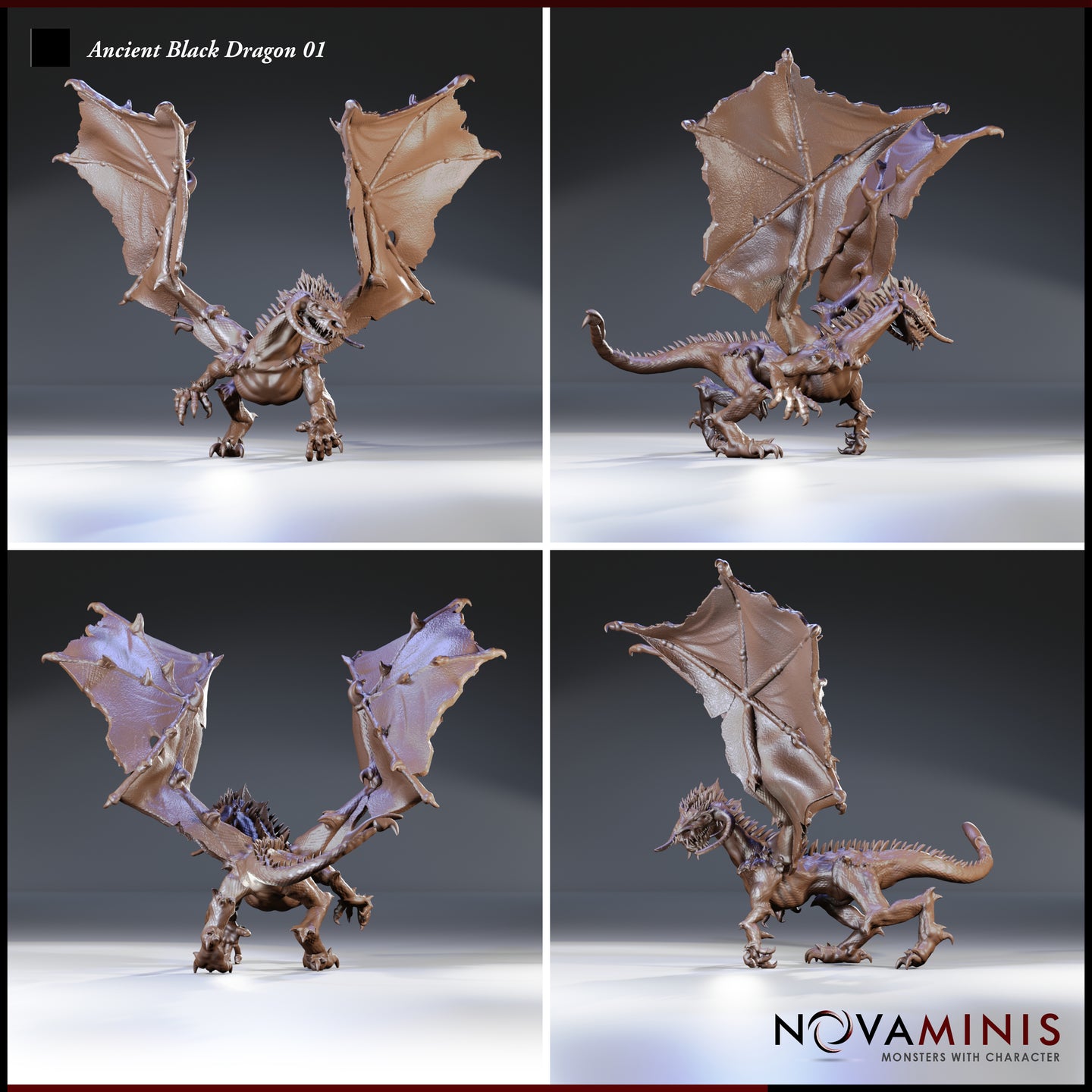 Four-angle digital render sheet of the Ancient Black Dragon 01 miniature by Novaminis showing front, rear three-quarter, underside, and side profile views. All angles display the fully spread wings with detailed membrane and bone spurs, the prominent dorsal spines, the heavy clawed forelimbs, and the long curved tail — the sculpt is unpainted and shown in a warm brown render finish.