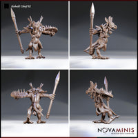 Kobold Chief 02 by Novaminis