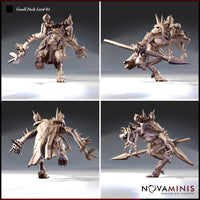 Gnoll Pack Lord 01 by Novaminis
