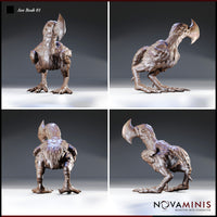 Axe Beak Bundle by Novaminis