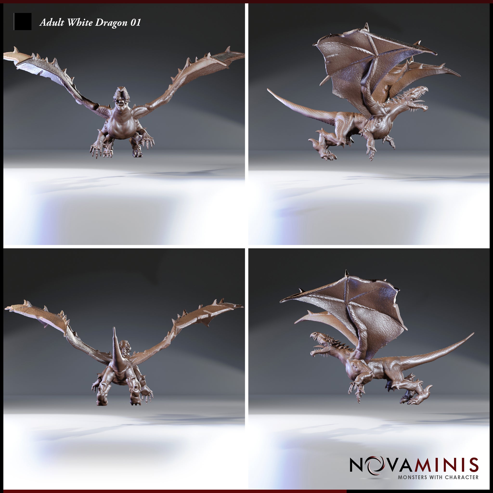 Four-angle digital render sheet of the Adult White Dragon 01 miniature by Novaminis showing front, rear three-quarter, top-down, and side views of the flying attack pose. Unpainted grey sculpt, detailed wing membranes and scaled body visible from all angles.