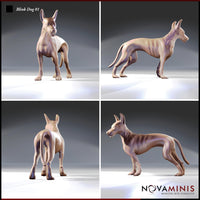 Blink Dog 01 by Novaminis