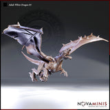 Digital render of the Adult White Dragon 01 miniature by Novaminis — an unpainted grey resin sculpt shown in a dramatic airborne dive pose with wings fully spread, jaws open wide revealing rows of jagged teeth, and both taloned forelegs reaching forward. The underside of the dragon is visible along with a heavily spiked tail and detailed wing membrane texture.