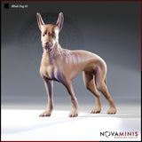 Blink Dog 01 by Novaminis