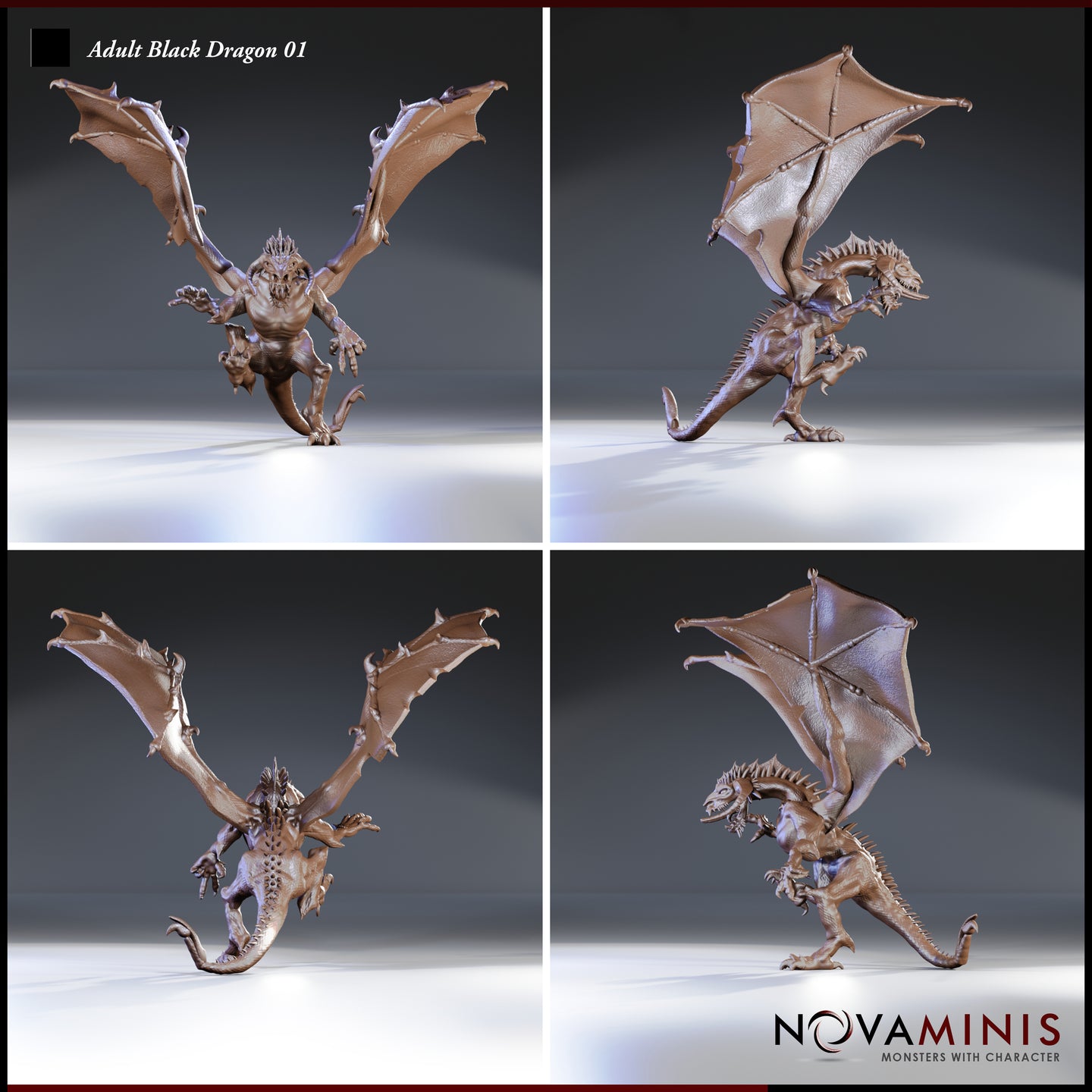 Digital render of the Adult Black Dragon 01 miniature by Novaminis — four-angle turnaround showing front, side, back, and three-quarter views. Unpainted resin, wings fully extended with hooked spurs, detailed scale texture on the body and tail, and prominent head spines visible from all angles.