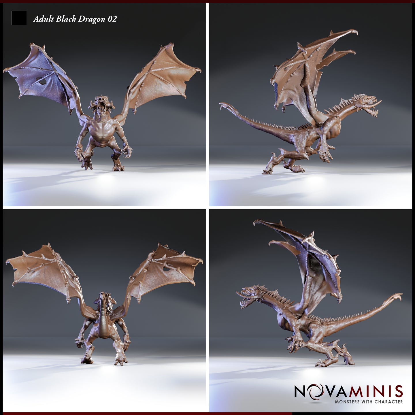 Four-angle digital render of the Adult Black Dragon 02 miniature by Novaminis showing front, left side, rear, and right side views of the unpainted sculpt. The front view emphasises the spread wings and open jaws; the side views reveal the sweeping ridged tail, layered scales along the spine, and the full wing membrane detail including talon-tipped leading edges; the rear view shows the muscular back and wing attachment structure.