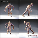 Flesh Golem Bundle by Novaminis