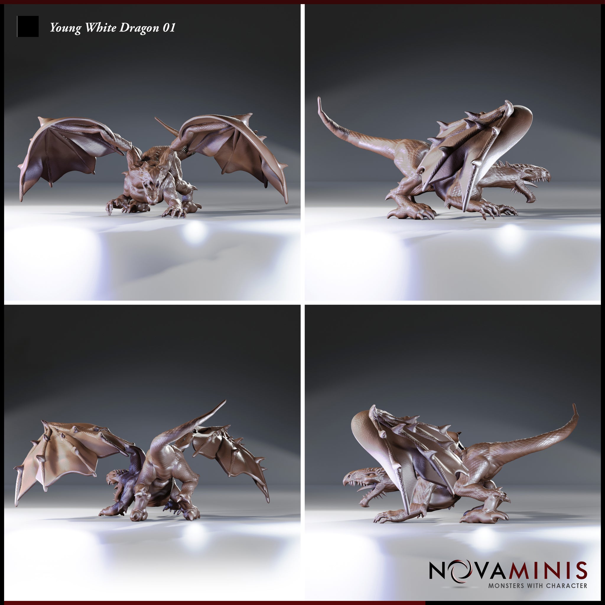 Digital render of Young White Dragon 01 miniature by Novaminis shown from four angles — front-on wings-spread view, side profile in ground-stalking pose, rear three-quarter view, and low side-on jaw-open view