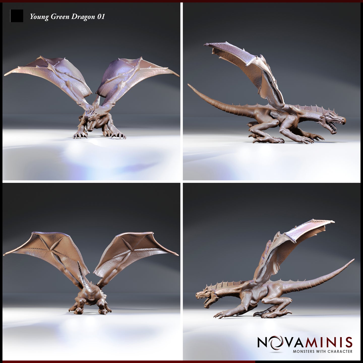 Four-angle digital render sheet of Young Green Dragon 01 by Novaminis showing front view with wings fully spread, side profile with tail extended and jaws open, rear view displaying wing membrane detail and dorsal spine ridge, and a second side view showing the crouched low-slung body posture and open mouth threat display