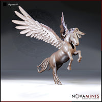 Pegasus Bundle by Novaminis
