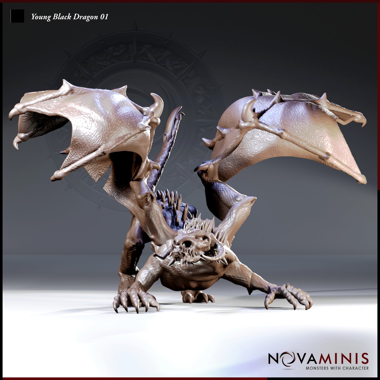 Digital render of Young Black Dragon 01 miniature by Novaminis — coiled low with wings half-spread and jaws wide open, ridge spines prominent along the back, 32mm scale