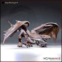 Digital render of Young White Dragon 01 miniature by Novaminis — low stalking pose with wings half-spread, jaw open in a snarl, claws extended forward, viewed from a three-quarter front angle