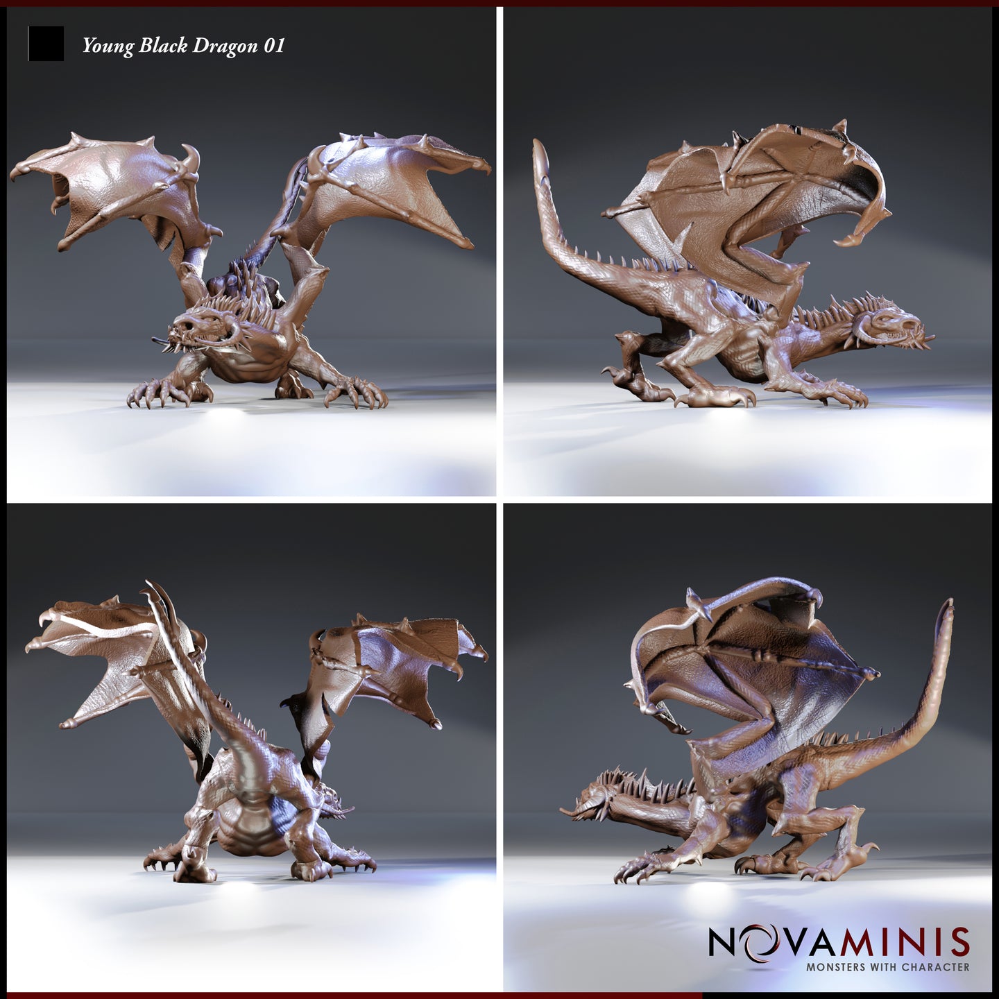 Four-angle digital render of Young Black Dragon 01 by Novaminis showing front, side, rear, and three-quarter views — detailed scale texture, hooked wing claws, and snarling open mouth visible from all angles