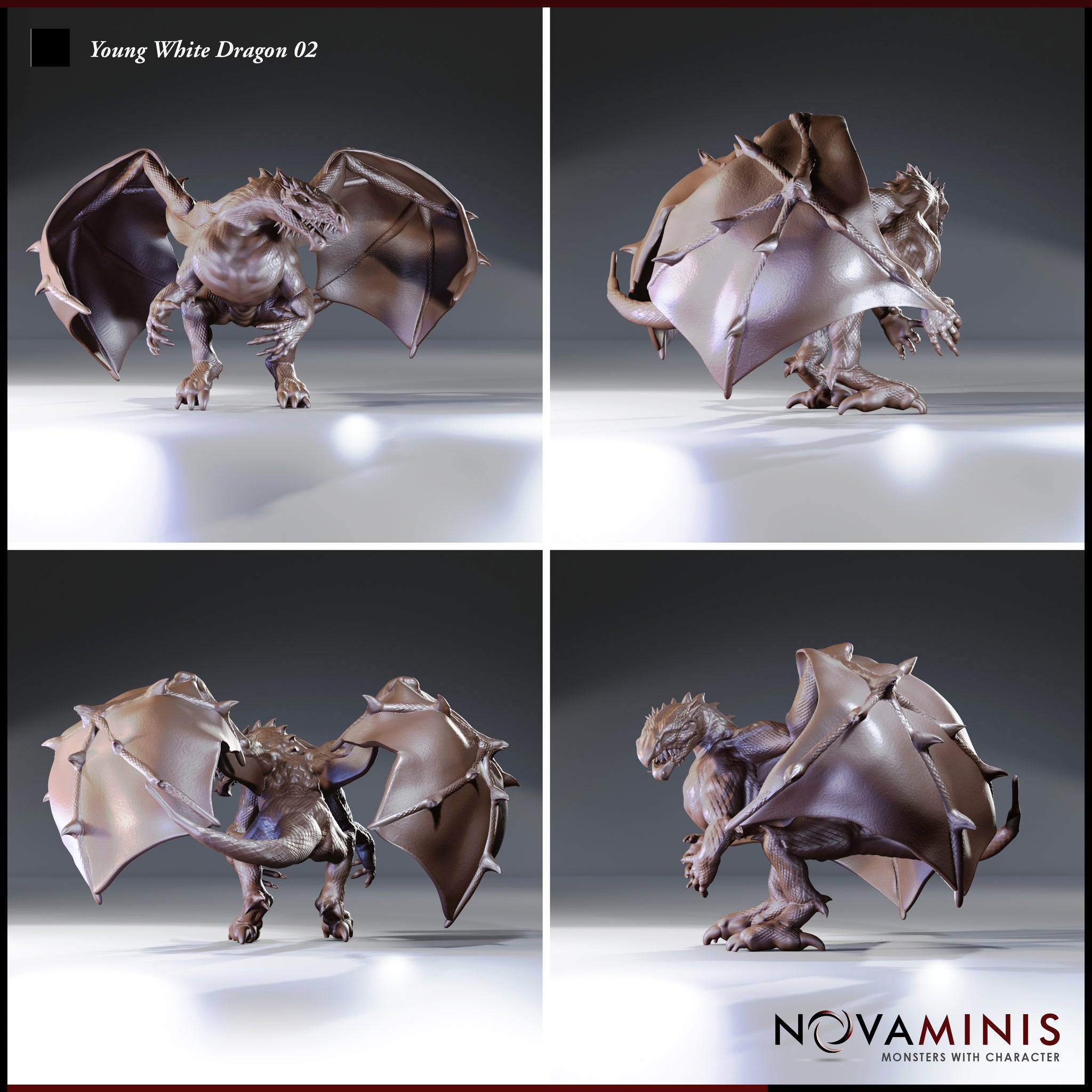 Four-angle digital render sheet of the Young White Dragon 02 miniature by Novaminis — top-left shows a front view with wings fully extended; top-right shows a rear three-quarter view revealing the wing membrane and dorsal spines; bottom-left shows a low front view with wings swept forward; bottom-right shows a side view with jaws open and claws prominent. Unpainted grey resin render throughout.