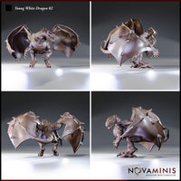 Young White Dragon Bundle by Novaminis
