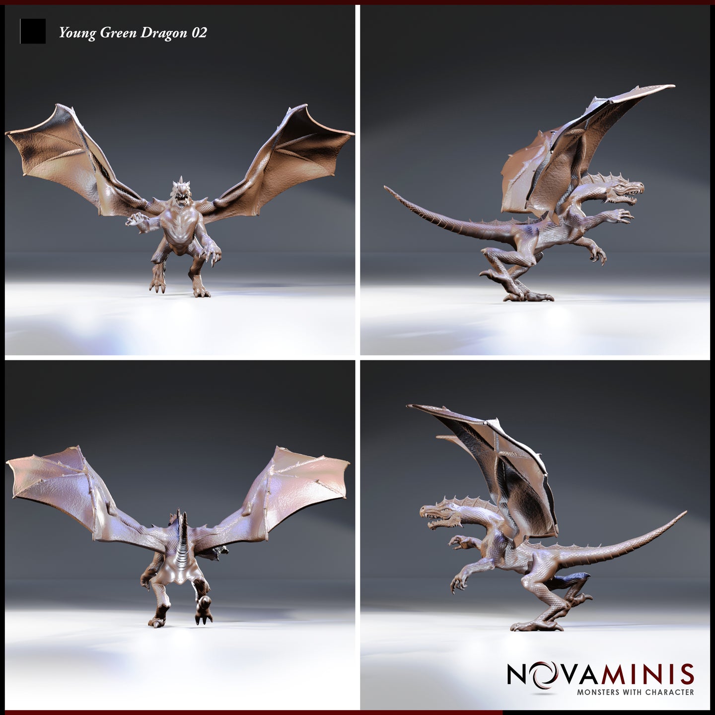 Four-angle digital render sheet of the Young Green Dragon 02 by Novaminis showing front, side, rear, and three-quarter views — leathery wing membranes, horned crest, long tail, and open jaw visible from all angles, unpainted brown render
