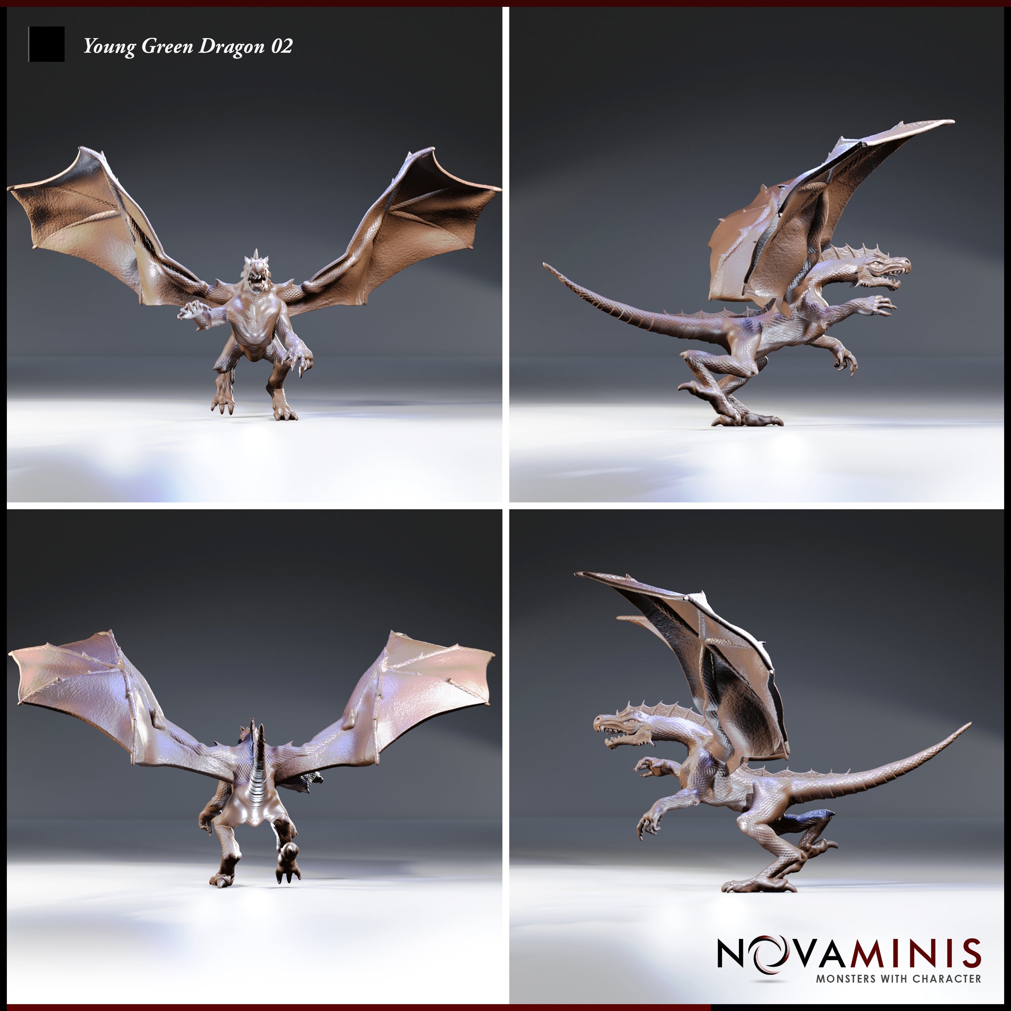 Four-angle digital render sheet of the Young Green Dragon 02 by Novaminis showing front, side, rear, and three-quarter views — leathery wing membranes, horned crest, long tail, and open jaw visible from all angles, unpainted brown render
