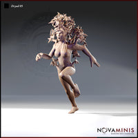 Dryad Bundle by Novaminis