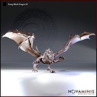 Digital render of Young Black Dragon 02 miniature by Novaminis — both wings fully extended in a wide span, one foreleg reaching forward in a pouncing pose, jaws open and claws splayed, 32mm scale