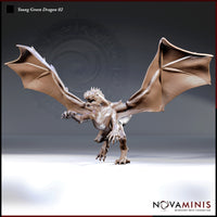 Front-facing digital render of the Young Green Dragon 02 miniature by Novaminis — wings spread wide, jaws open in a roar, claws raised, muscular chest and scaled limbs detailed, unpainted resin brown render