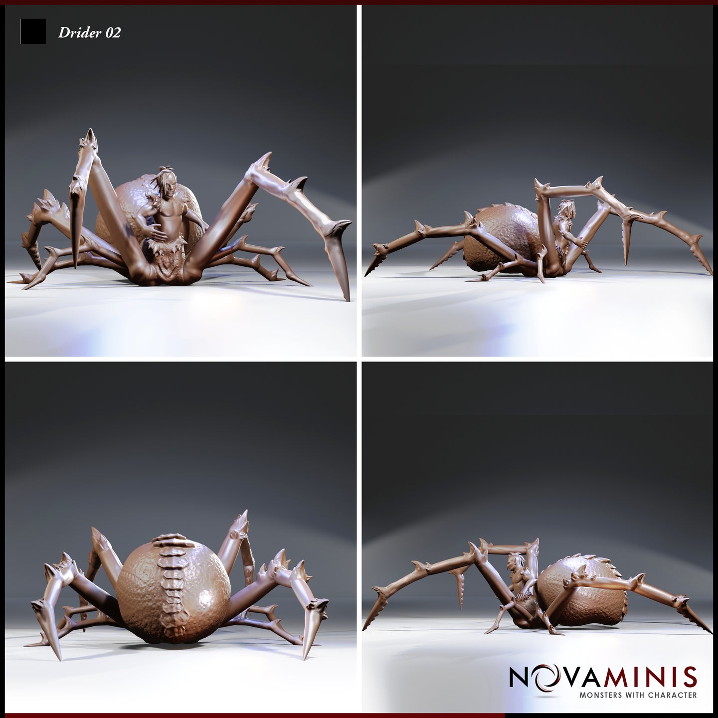 Four-angle digital render of the Novaminis Drider 02 miniature showing front, side, rear, and three-quarter views — highlighting the textured chitinous abdomen, radial leg arrangement, and drow torso detail in unprimed warm resin tone