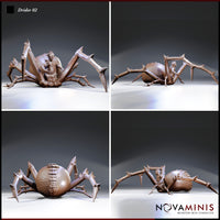 Four-angle digital render of the Novaminis Drider 02 miniature showing front, side, rear, and three-quarter views — highlighting the textured chitinous abdomen, radial leg arrangement, and drow torso detail in unprimed warm resin tone