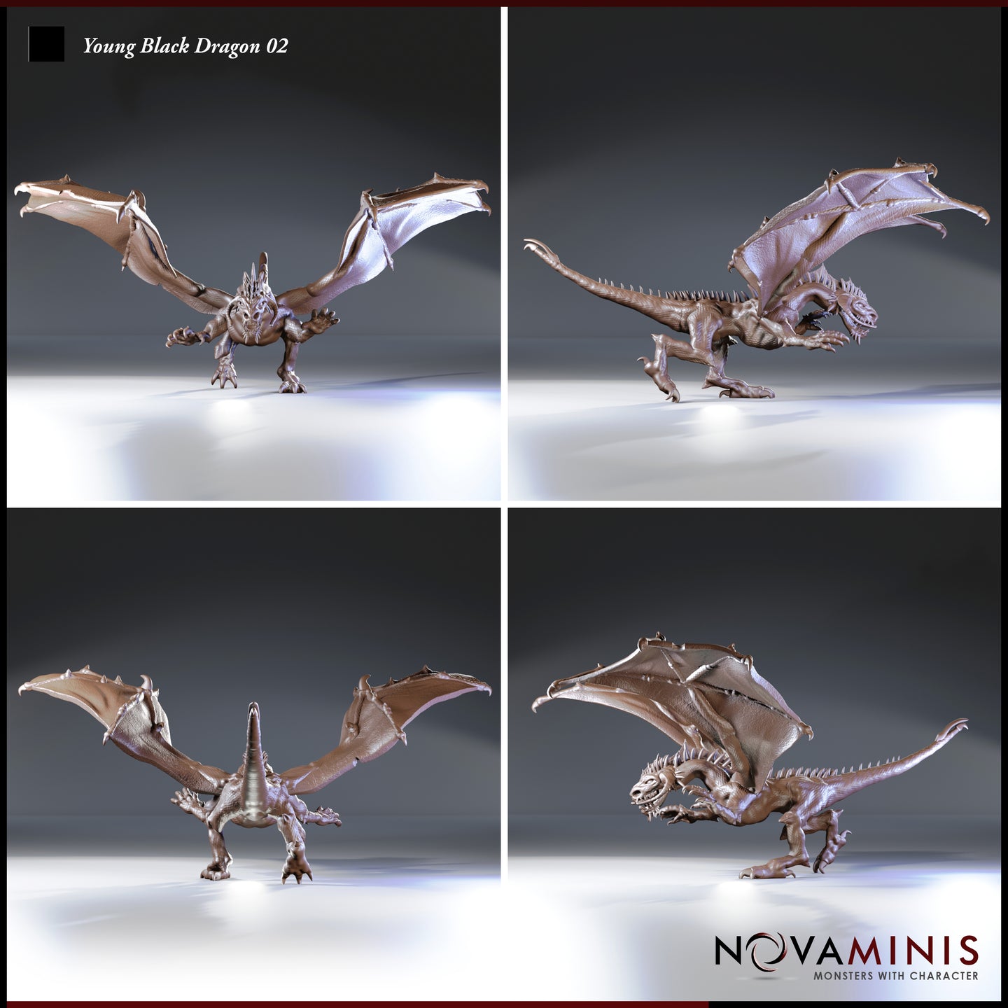 Four-angle digital render of Young Black Dragon 02 by Novaminis showing front, side, rear, and three-quarter views — unpainted grey resin finish revealing leathery wing membranes with hooked spurs, crouching attack posture, and skull-like horned head