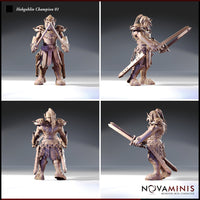 Hobgoblin Champion Bundle by Novaminis