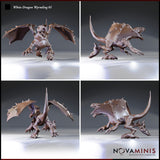 Four-angle digital render sheet of the White Dragon Wyrmling 01 miniature by Novaminis — front, side, rear, and three-quarter views showing the full sculpt detail including leathery wing membranes, ridge-plated back, open jaws, and dynamic pouncing posture, all in an unpainted grey resin finish.