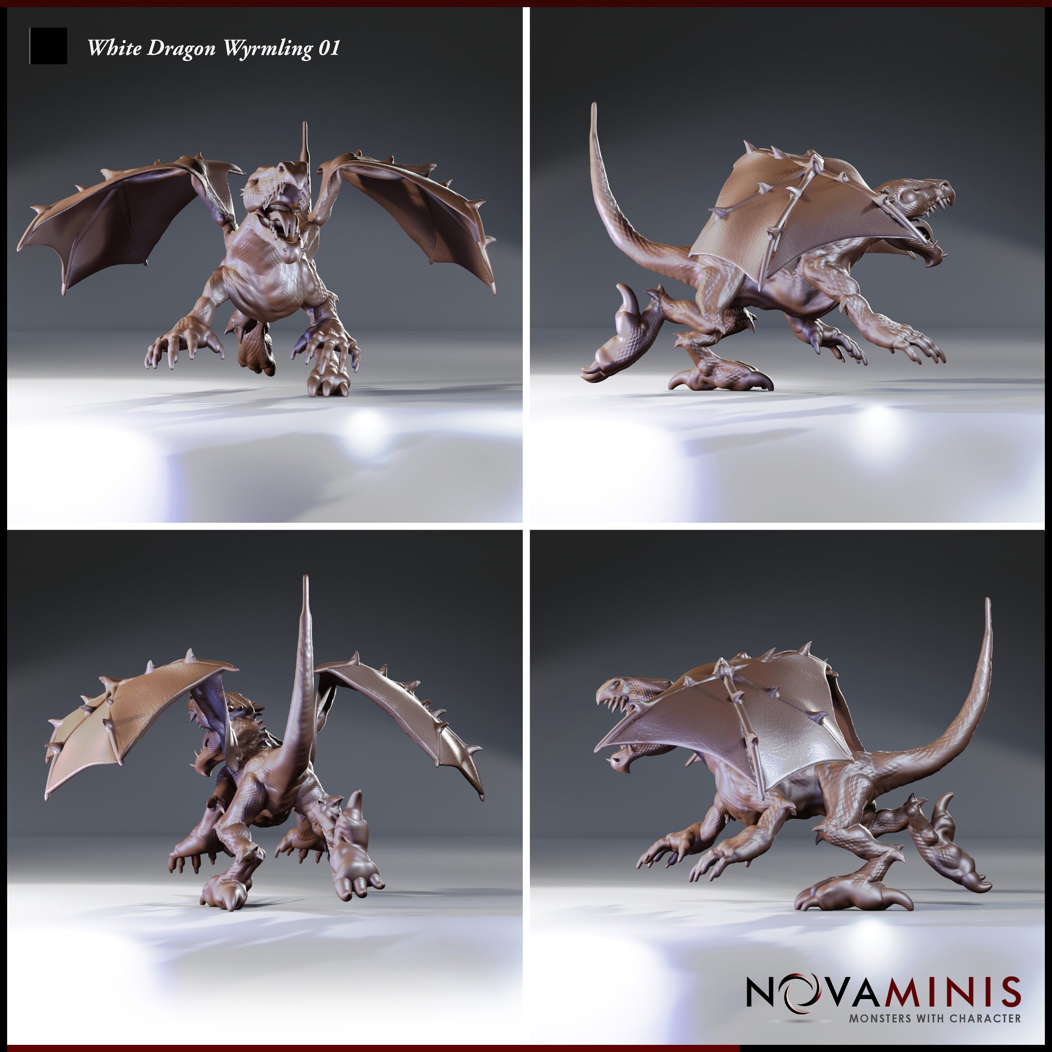 Four-angle digital render sheet of the White Dragon Wyrmling 01 miniature by Novaminis — front, side, rear, and three-quarter views showing the full sculpt detail including leathery wing membranes, ridge-plated back, open jaws, and dynamic pouncing posture, all in an unpainted grey resin finish.