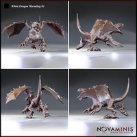 Four-angle digital render sheet of White Dragon Wyrmling 01 showing front, side, rear, and three-quarter views of the wyrmling in its low aggressive stance with wings extended and tail raised