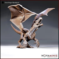 Unpainted resin miniature of a Green Dragon Wyrmling in a rearing pose with wings spread wide, open jaws showing sharp teeth, and claws splayed forward — 32mm scale D&D miniature by Novaminis