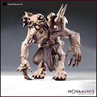 Gnoll Warrior Bundle by Novaminis