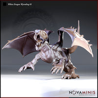 Digital render of the White Dragon Wyrmling 01 miniature by Novaminis — shown in an unpainted grey resin finish, posed mid-lunge with wings spread wide, jaws open in a threat display, long claws extended, and prominent dorsal spines visible along the spine and tail.