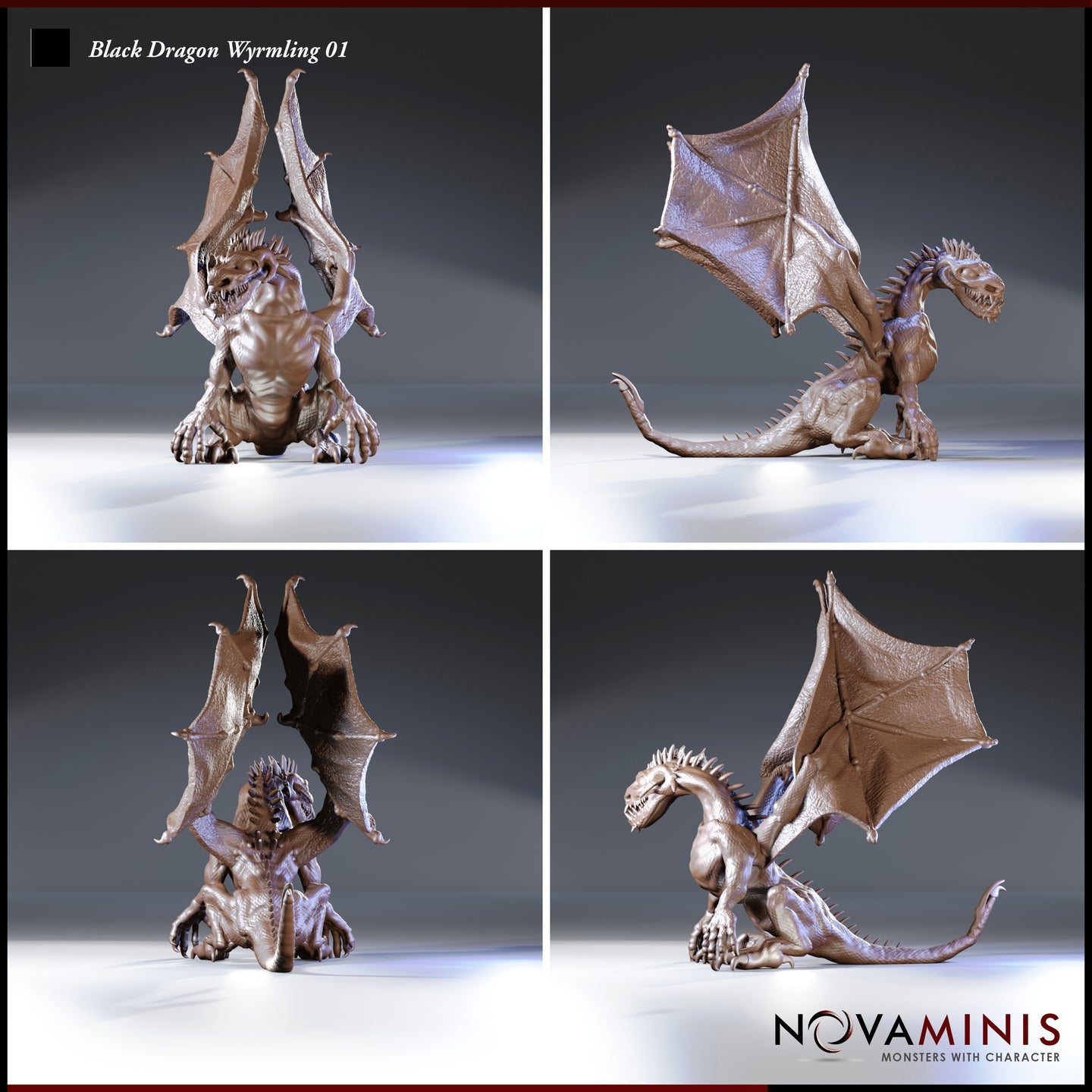Digital render of Black Dragon Wyrmling 01 shown from four angles — front, rear, left side, and right side — revealing wing membrane detail, dorsal spines, skull-like brow, and scaled underbelly