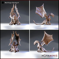 Four-angle digital render sheet of the Black Dragon Wyrmling 01 miniature by Novaminis — front, rear, left side, and right side views showing the wing span, spiked dorsal ridge, muscular chest, coiled tail with serrated spines, and detailed horned skull-like head