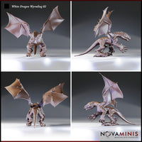 Four-angle digital render of the White Dragon Wyrmling 02 miniature by Novaminis showing front, side, rear, and three-quarter views. The unpainted sculpt displays the wyrmling's full silhouette including the broad wingspan, muscular hind legs, long tail, ridged back, and open-mouthed snarling expression from multiple perspectives.