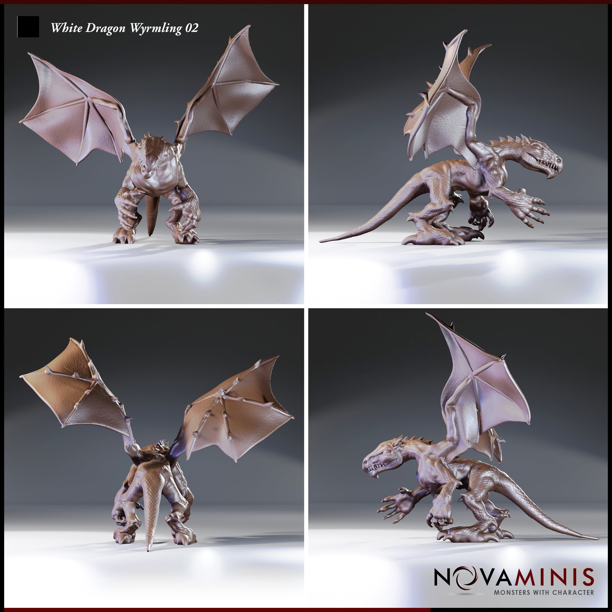 Four-angle digital render of the White Dragon Wyrmling 02 miniature by Novaminis showing front, side, rear, and three-quarter views. The unpainted sculpt displays the wyrmling's full silhouette including the broad wingspan, muscular hind legs, long tail, ridged back, and open-mouthed snarling expression from multiple perspectives.