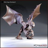 Digital render of the White Dragon Wyrmling 02 miniature by Novaminis — an unpainted grey resin sculpt shown from a three-quarter front angle. The wyrmling stands upright on two legs with both wings spread wide, claws raised aggressively, and jaws open to reveal rows of sharp teeth. Detailed scaling, spine ridges, and leathery wing membranes are clearly visible.