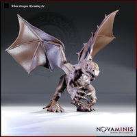 Digital render of the White Dragon Wyrmling 02 miniature by Novaminis — an unpainted grey resin sculpt shown from a three-quarter front angle. The wyrmling stands upright on two legs with both wings spread wide, claws raised aggressively, and jaws open to reveal rows of sharp teeth. Detailed scaling, spine ridges, and leathery wing membranes are clearly visible.