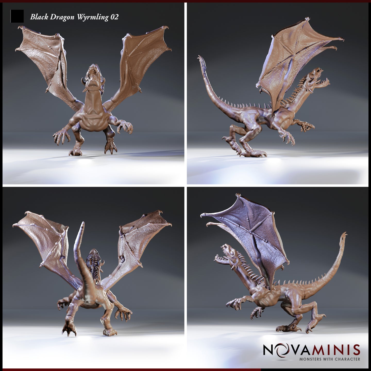 Four-angle digital render sheet of the Black Dragon Wyrmling 02 miniature by Novaminis — showing front, left side, rear, and right side views of the unpainted sculpt. The wyrmling is posed rearing upright with wings spread, jaws open, and claws extended. The front view shows the broad chest and splayed forelimbs; the side views reveal the full dorsal spine row and leathery wing detail; the rear view highlights the tail and wing structure. Sculpted at 32mm scale.