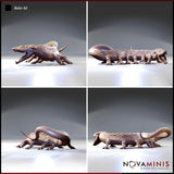 Behir 02 by Novaminis