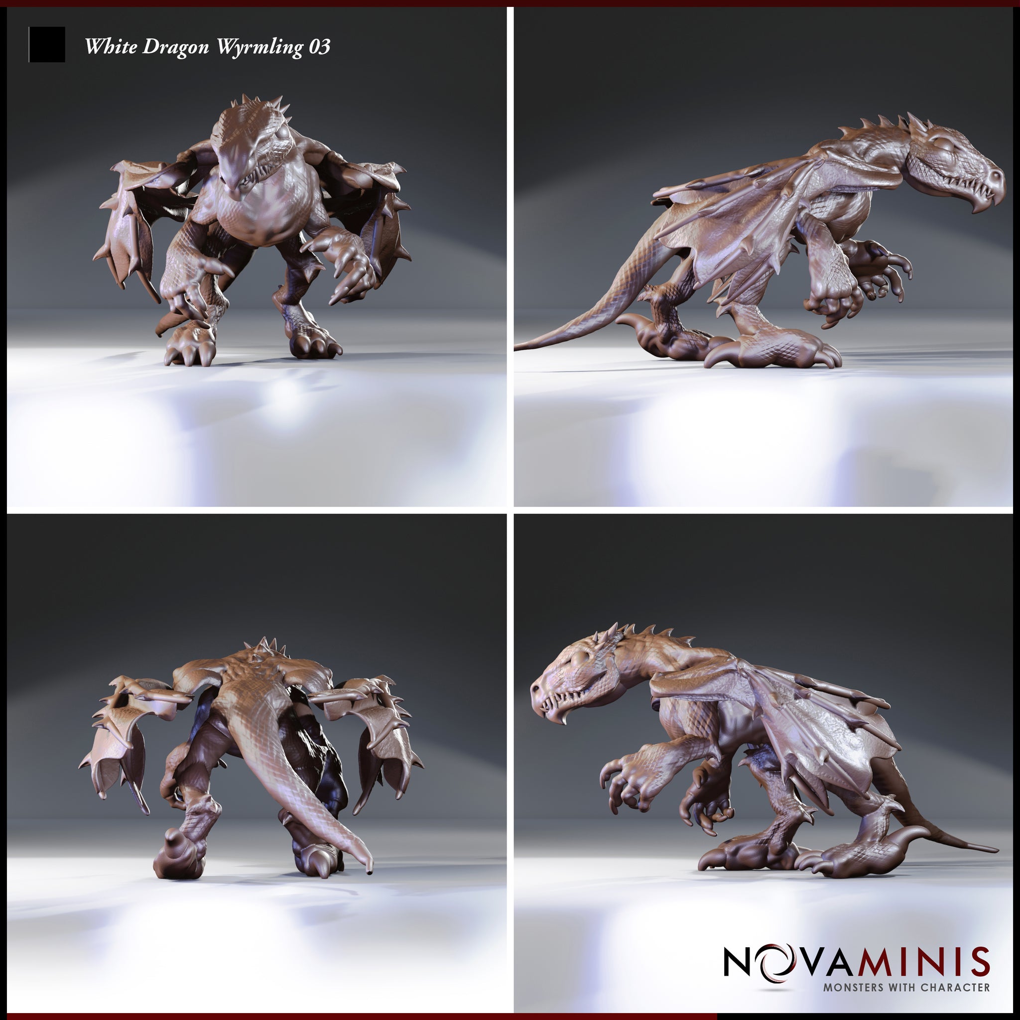 Four-angle digital render sheet of White Dragon Wyrmling 03 miniature by Novaminis showing front, side, rear, and three-quarter views of the snarling crouching wyrmling sculpt, highlighting detailed scale texture, wing membrane, spiked crest, and open-clawed forelegs in unpainted clay-coloured render