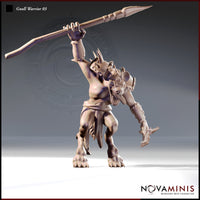 Gnoll Warrior Bundle by Novaminis