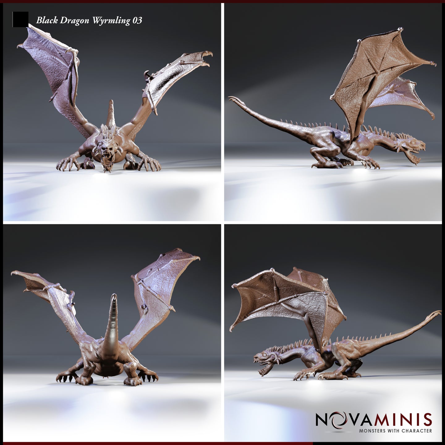 Four-angle digital render sheet of the Black Dragon Wyrmling 03 miniature by Novaminis — unpainted, showing front-facing wing-spread pose, side profile with tail extended and head snapping forward, rear view showing wing membrane detail, and opposite side view with wings angled and body in a stalking posture