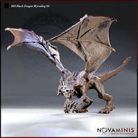 Black Dragon Wyrmling Bundle by Novaminis