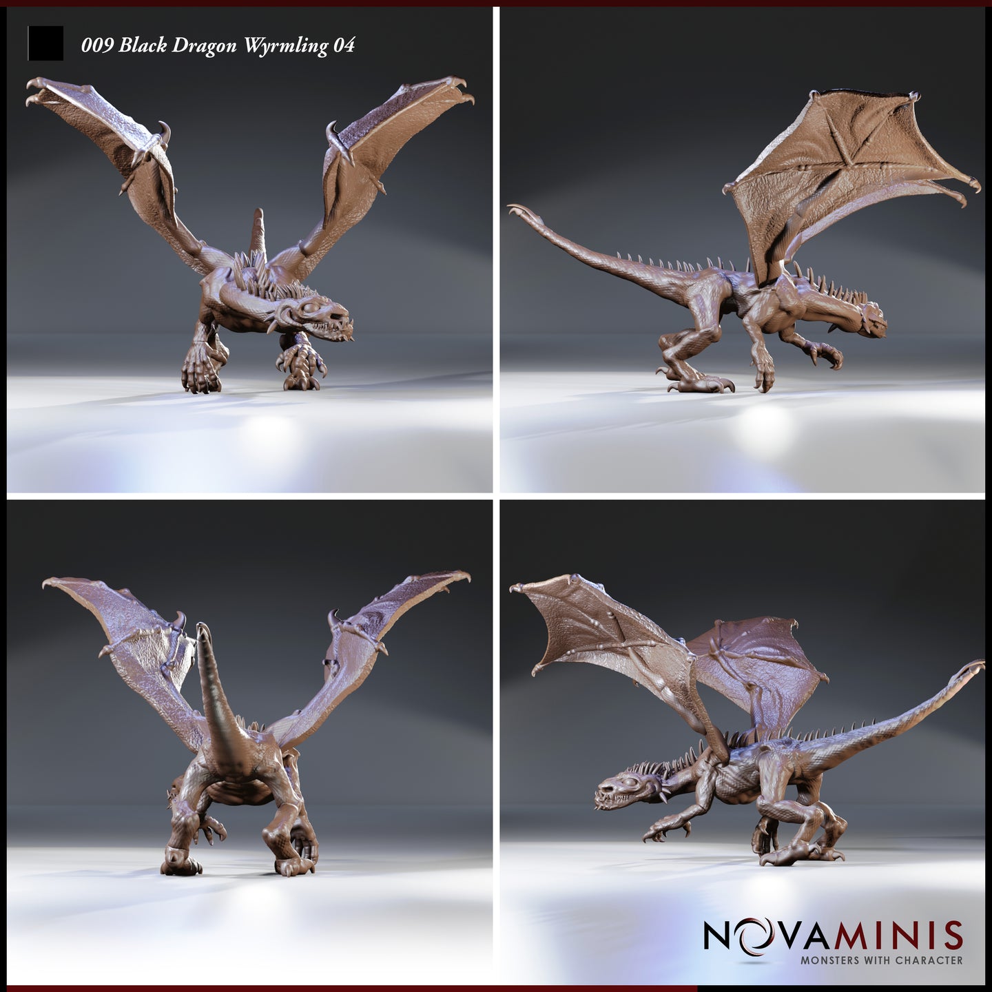 Four-angle digital render of the Black Dragon Wyrmling 04 miniature by Novaminis in unpainted brown resin finish. Clockwise from top left: front three-quarter view with wings raised and face snarling; rear three-quarter view showing spined tail ridge and wing membrane detail; low side view with head turned outward and jaws open; rear view with wings arched upward and claws gripping the ground.