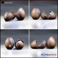 Four-angle digital render of Dragon Eggs 03 by Novaminis showing the whole scaly dragon egg and the cracked open hatching egg from multiple viewpoints, highlighting the detailed overlapping scale texture and broken shell edge