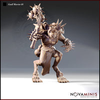 Gnoll Warrior Bundle by Novaminis