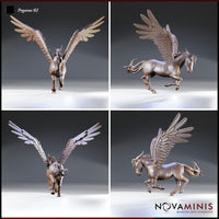 Pegasus Bundle by Novaminis
